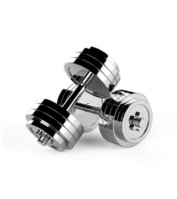 dumbells-2