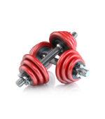 pair-of-dumbbells-2