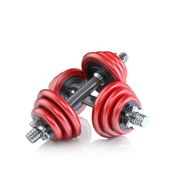 pair-of-dumbbells-2 product