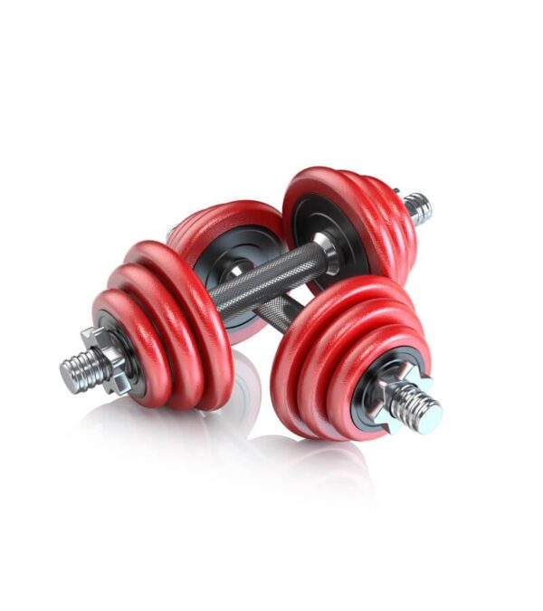 pair-of-dumbbells-3 product