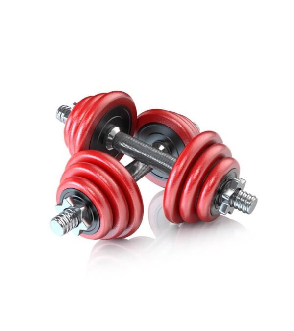 pair-of-dumbbells-4 product