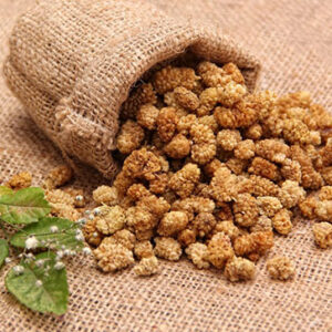 TURKISH DRIED MULBERRY - 100gr